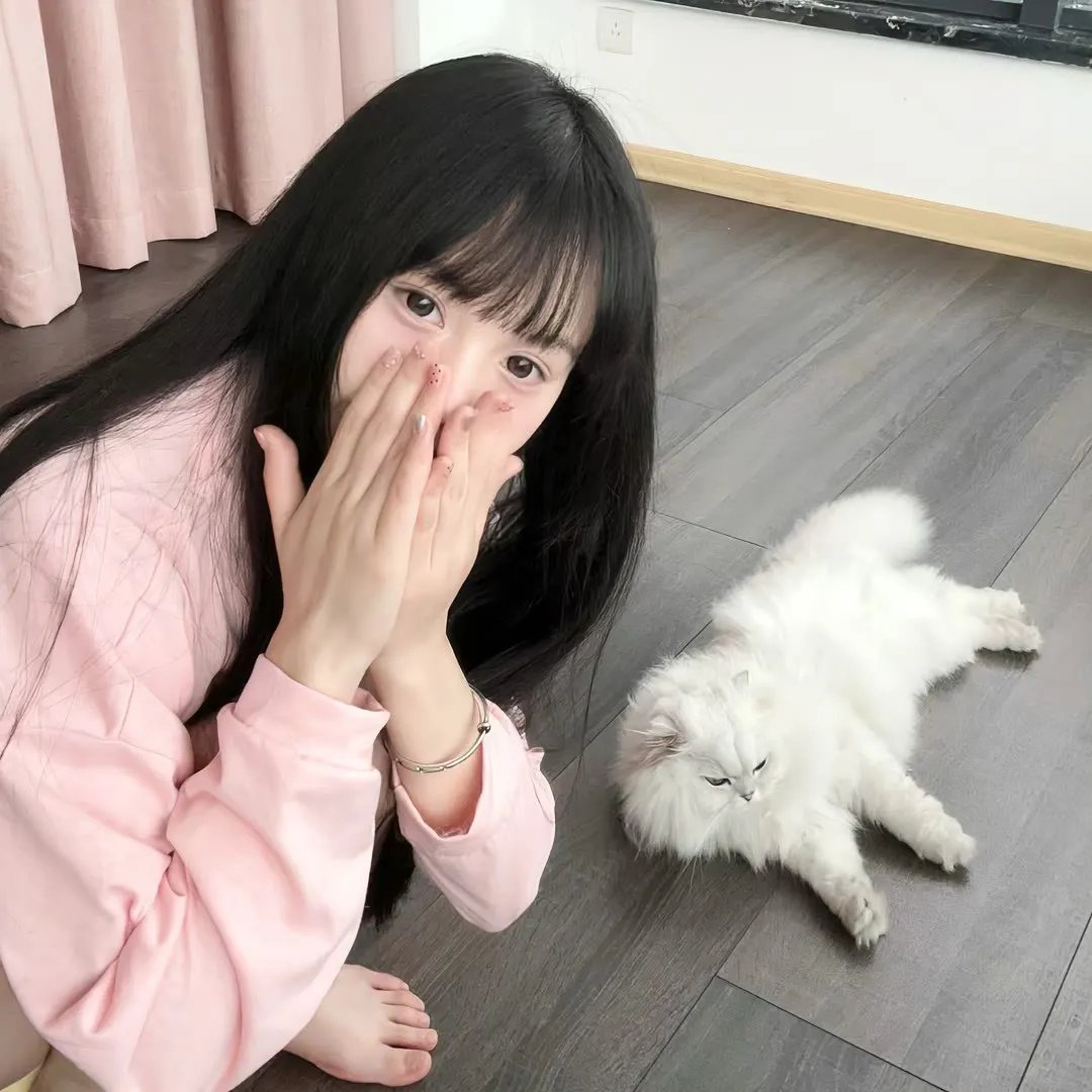 巴西风月
